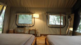 Tropical eglamping - 9