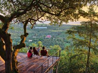 Tropical eglamping - 3