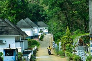Banana Leaf Villa Athirappilly - 0