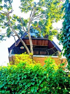 Kandy Cabin - 1