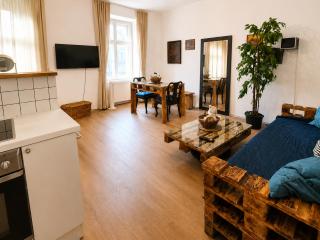 Elegant 1BR Apartment 2 Min from Rennweg Station - Viena - 1