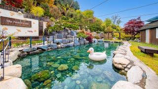 gapyeong newcastle pension - 1