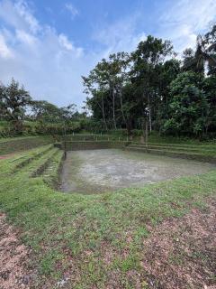 Casa del árbol - zona para acampar - 7