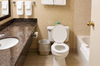 Comfort Inn & Suites Ambassador Bridge - 1