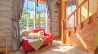 Yeosu Noeul Walk Pet Pension - 4