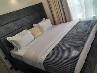 Executive living two bedroom apartment with fully equipped gym swimming pool children playing ground and amazing scenic city views - 3