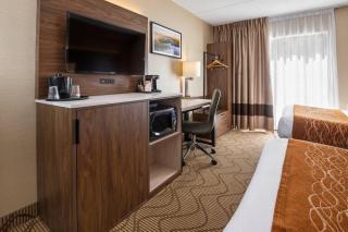 Comfort Inn Lakeshore - 6