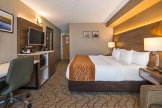 Comfort Inn Lakeshore - 5
