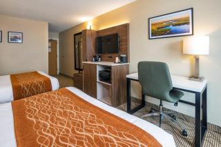 Comfort Inn Lakeshore - 2