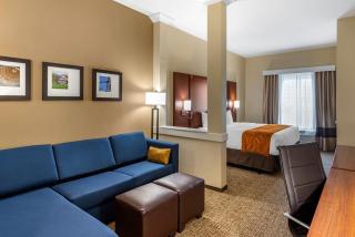 Comfort Suites Midland West - Midland - 3