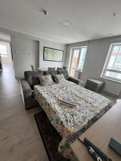 Premium City Center Residence, Sukhbaatar View - 9