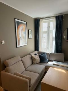 Quiet apartment in Majorstuen with proximity to everything! - 9