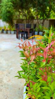 Radiance Resort Habarana - 8