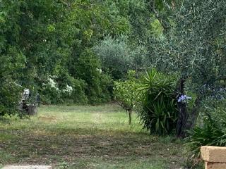 Casale Le Casole affitta camere nel cuore dell'Umbria Otricoli - 2
