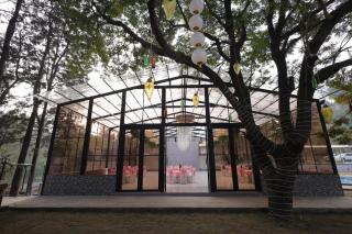 The Aralia - 7