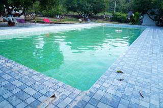 Kesar Villa Resort With Swimming Pool Sasan Gir - 9