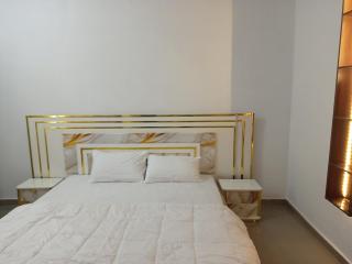 Luxury Haven -1BD Perfect Comfort -FREE WIFI - 1