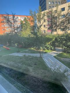 Newly renovated, great location, modern&elegant - 9