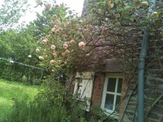 Les Douitils - 1