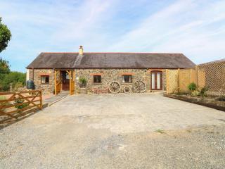 Coedllys Uchaf Cottage - 9