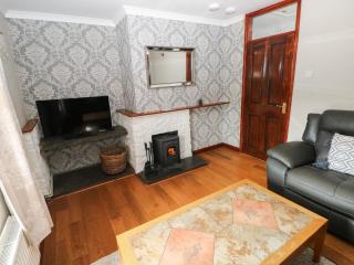 Coedllys Uchaf Cottage - 6