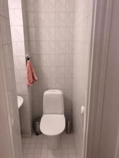 Viihtyisä ja tilava asunto keskustassa - 1