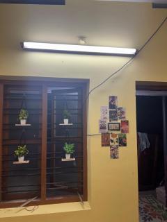 Firefly Family Apartments - 3