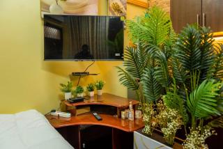 Soft touch studio appartment - 2