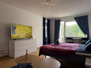 2BR Worker & family Apartment Near Volvo Tv In Each Room - 4