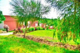 Limon Ranch - 6
