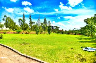 Limon Ranch - 5