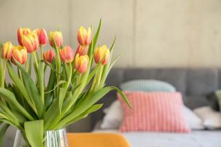 Studio-Apartment Gartenblick - 4