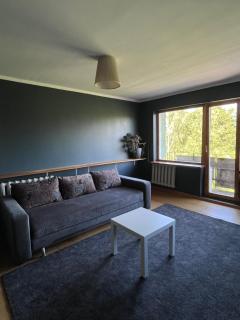 Aluksne city nest - 2