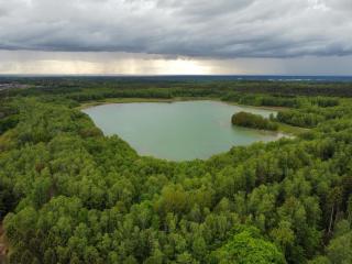 Waldhotel zum Bergsee Damme - 7