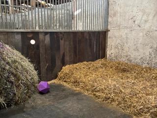 Brimble Cottage at Dockwell Farm - 3
