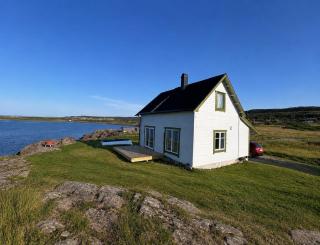 House by Varangerfjorden, bird watching and white-tailed eagles - 0