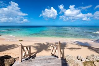 Beachfront 1-Bed with Plunge Pool - Reeds House 10 - 4