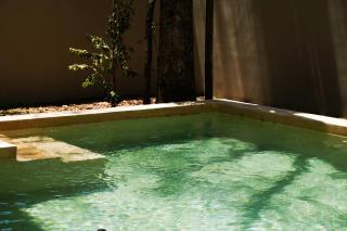 Tulum Jungle Villa 4BR Private Pool - 9