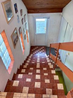 Camelia Apartment - 5
