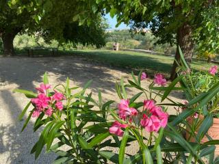 Casale Le Casole affitta camere nel cuore dell'Umbria Otricoli - 1