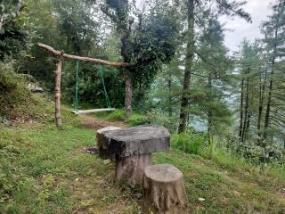 Mountain Yurt in Tandi - 5