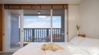 Geoje Beachwhite Pension - 0