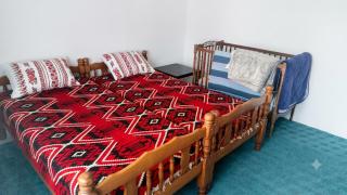Velika udobna kuća pored etno sela - 2