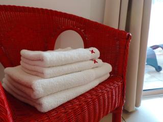 Villas Manapany - Villa Le Jacquier - 4
