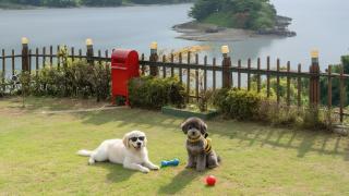 Yeosu Greenhouse Pension - 0