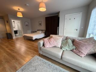 Modern Leixlip Studio with Fast WiFi and Kitchen - 0