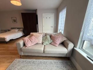 Modern Leixlip Studio with Fast WiFi and Kitchen - 5