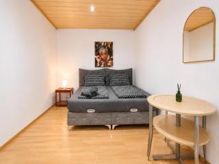 Comfortable 4BR Apt for 12 Close to FAC Platz - 4