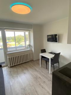 VILNIUS Apartment with Balcony - 5