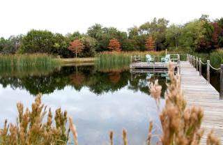 Charming Marble Falls Cabin at a Great Texas Retreat - 1